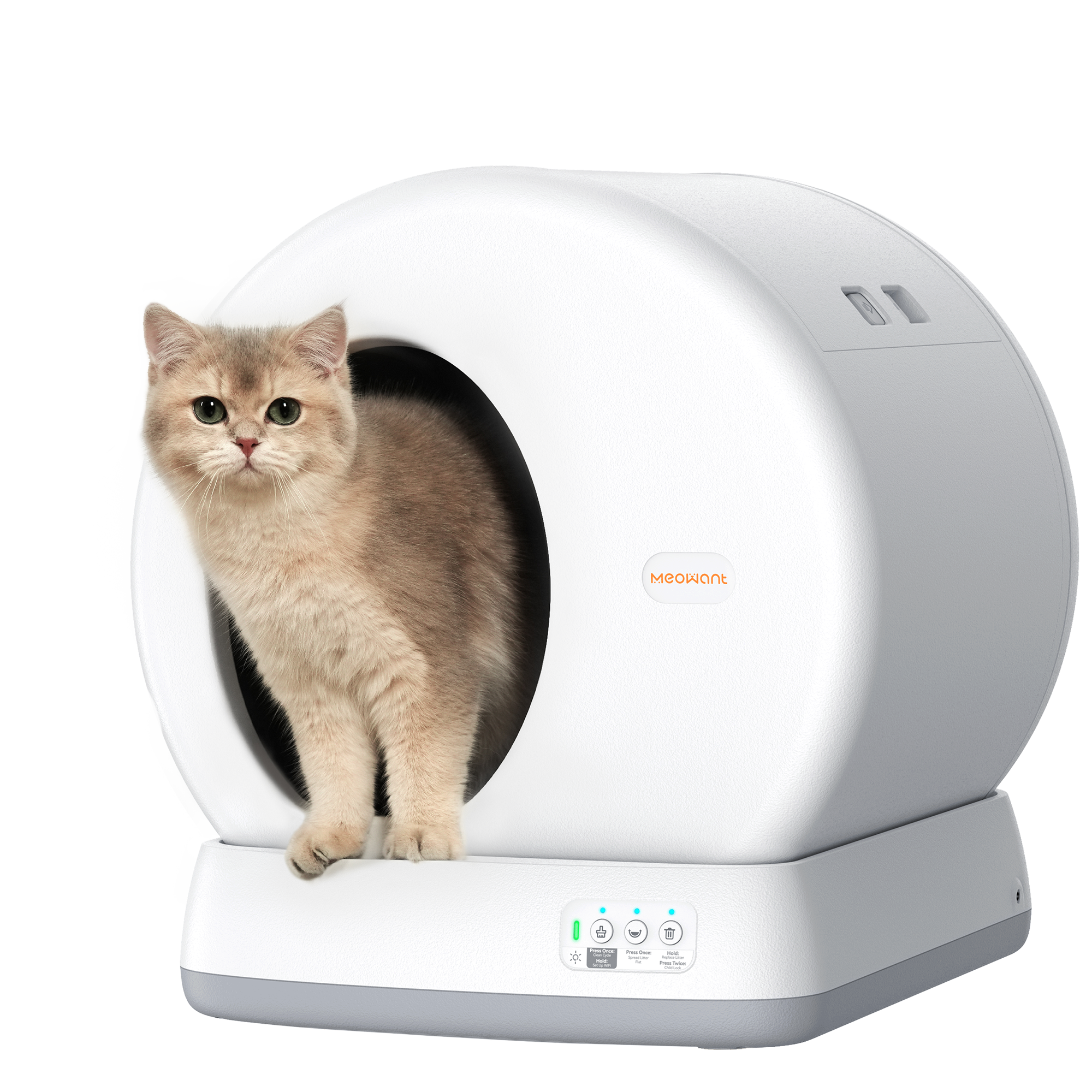 Self-Cleaning Litter Boxes: What to Know Before You Buy