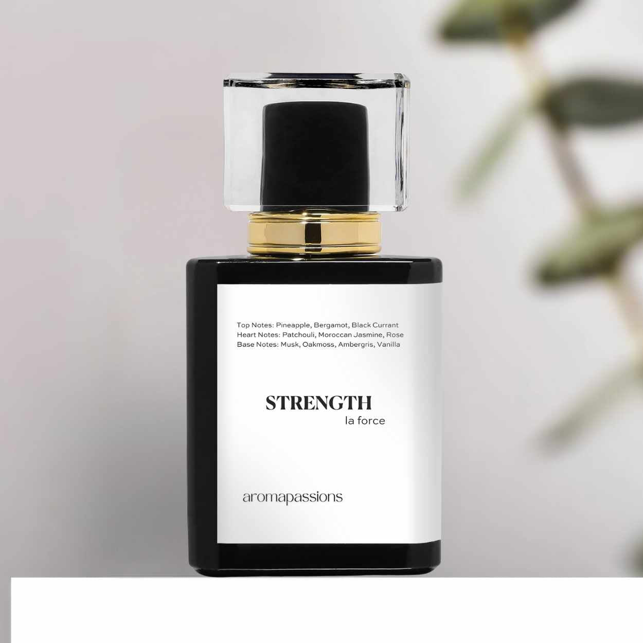 Aroma Passions STRENGTH fragrance for men